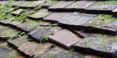 Little Warley roof repair costs